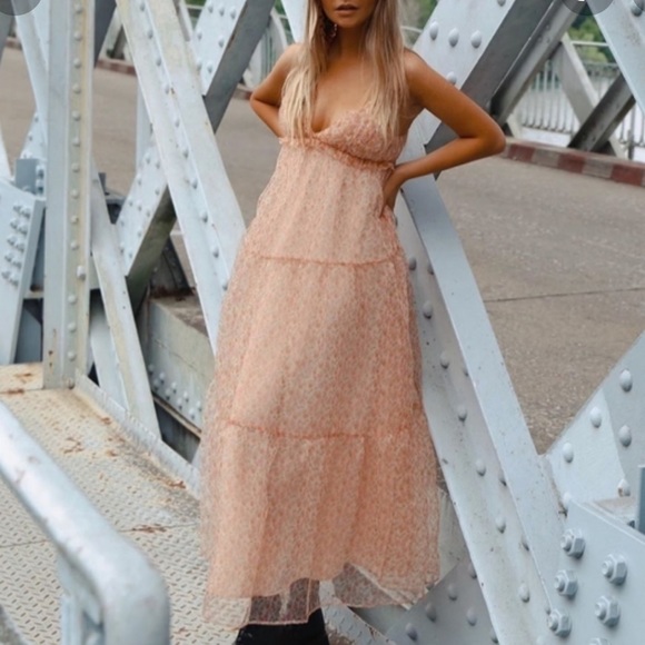 NWOT🌸Blogger’s Favorite Organza Dress - Picture 14 of 16